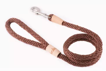 Sport Snap Lead (4 ft  x 1/2in or 13mm)