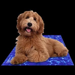 Chillz Gel Mat
