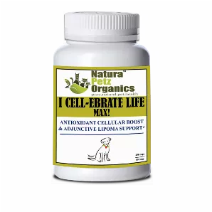 I Cellebrate Life Max - Antioxidant Cellular Boost + Adjunctive Lipoma Support*