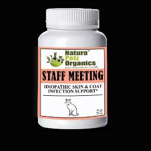 Staff Meeting* Idiopathic Skin & Coat Infection* Support For Dogs And Cats*