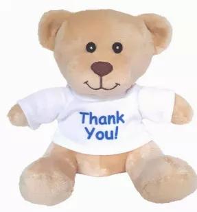 Small Super Cute Supportive Teddy Bear