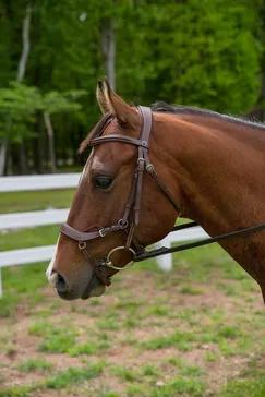 Henri de Rivel Pro Anatomical Bridle - Australian Nut - Cob