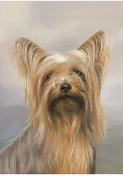 Yorkie Show Cut - Best of Breed Portrait   Outdoor Flag