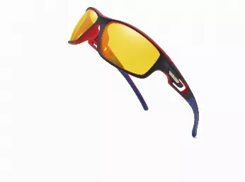 BV2516 Sunglasses