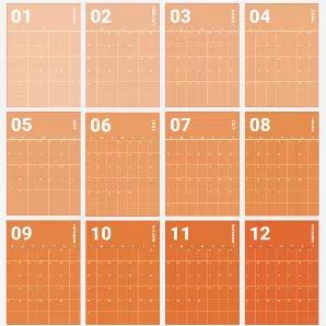 Peachy 12 Month Wall Planner