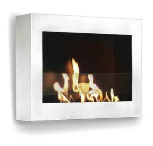 Anywhere Fireplace Indoor Wall Mount Fireplace 