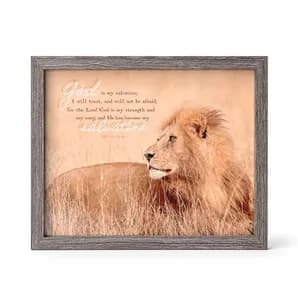 Framed Wall Art Lion God Is My Salvation