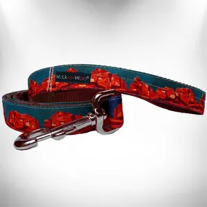Dog Leash
