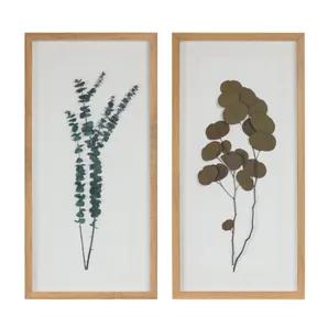 Dried Eucalyptus Frame 