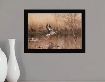 Fly Away 3 Black Framed Print Wall Art