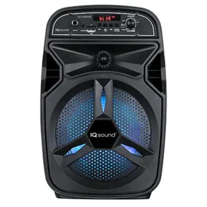 Portable Bluetooth TWS Speaker
