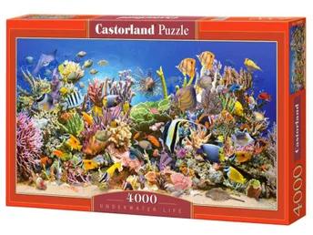4000 Piece Jigsaw Puzzle, 1000 Piece Jigsaw Puzzle