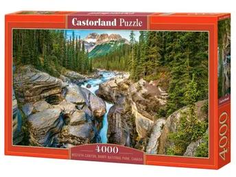 4000 Piece Jigsaw Puzzle, 1000 Piece Jigsaw Puzzle