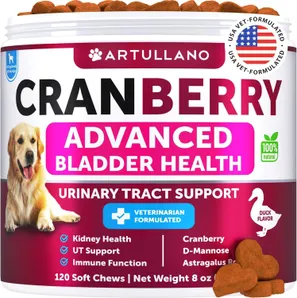 Dog UTI Treatment