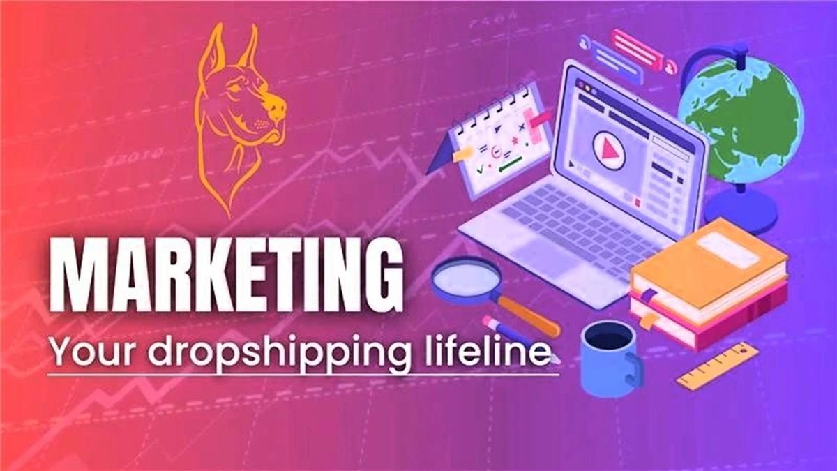 How to Market Your Dropshipping Business (Step-by-Step Guide)