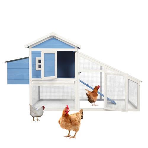 Wholesale Poultry