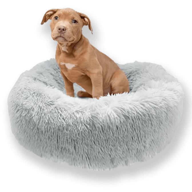 Wholesale Dog Beds