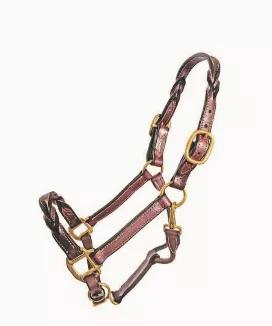 Twisted leather halter with solid brass hardware.