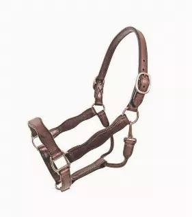 Scalloped leather show halter with stainless steel hardware.