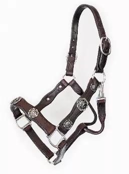 Scalloped leather show halter with stainless steel conchos and hardware.