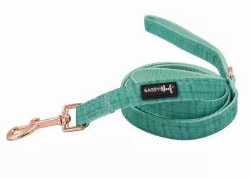 This color will pop on any pup! Walk in style with our beautifully crafted leash with a classy look. Featuring rose gold accents and nylon strapping.