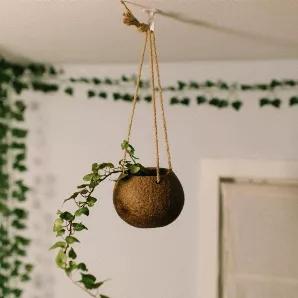 Add some greenery to every room with our sustainable hanging coconut planter! 
<br>
Made from a recycled coconut shell this is the perfect home for any and all your plants. 
<br>
With a natural jute twine you can adjust the the planter to your preferred length. 
<br>
5.25" diameter & height <br>
Each planter may vary slightly in dimensions 
<br>
 **We always ship plastic free!**