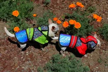 <p>Safely Protect Your Fur Babies from Vision Hunting Birds of Prey! <br>
Our reflective holographic jackets are hand-made & each one is as unique as your pet.<br>
<ul>
<li>Raptors hunt visually - our jackets keep your pets safe!</li>
<li>Light Weight & Water Resistant & Comfortable for ALL-Day Wear</li>
<li>Holographic reflections - Highly visible day or night</li>
<li>Hook & Loop fasteners at chest and under belly for easy-on and easy-off</li>
<li>Leash ready with reinforced opening</li>
<li>S