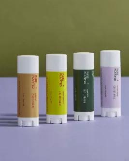 <span style="font-weight: 400;">CBD lip balm moisturizes and protects the lips from inflammation and the elements.  It soothes and nourishes, allowing the lips to regenerate when they get dry and chapped. This lip balm offers a micro dose of CBD every time it is applied, which has been found to be beneficial in treating anxiety, among other symptoms. </span>
\n
\n<span style="font-weight: 400;">During formulation, our lip balm is created by adding local beeswax, shea butter, avocado oil, jojoba 