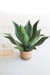 You don't have to have a green thumb to add some greenery to your home. This artificial agave plant is a great way to incorporate plant life without the hassle of watering!