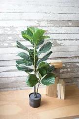 You don't have to have a green thumb to add some greenery to your home. This artificial fiddle leaf fig is a great way to incorporate plant life without the hassle of watering!