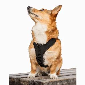 <p>K9 Sport Harness is a breathable, easy to use and affordable harness. Made to fit small to medium sized dogs, it is easily adjustable with webbing and buckles. From walks in your neighborhood or hikes in the mountains, our harness is a durable and reliable option.<br></p>
<h6>Features</h6>
<ul>
<li><p>Made with a lightweight and padded mesh</p></li>
<li><p>3 Reinforced D-Ring connection points</p></li>
<li><p>Adjustable and durable webbing for a custom fit</p></li>
<li><p>Interfaces with the 