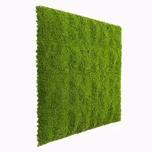 <p>Outdoor Faux Evergreen Moss Panels from RealTex materials are perfect for adding a natural and sustainable touch of green to any wall or surface.</p>
<p>A Premium Look &amp; Finish!</p>
<p>Evergreen Moss is Made From a Proprietary Mold &amp; Prime Virgin Resins</p>
<p>Designer Plants is a? global brand and the leader in artificial foliage receiving numerous awards for its quality.? Designer Plants only uses grade A+ premium new (not recycled) LDPE and not low quality, toxic and harmful standa