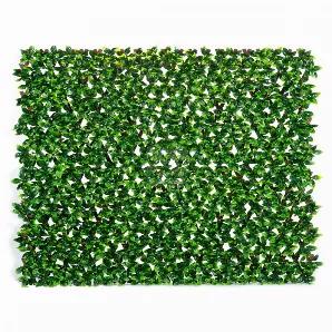<p>Designer Plants? Expandable Faux Ficus Leaf Privacy Fence will instantly transform an ordinary fence or wall into a maintenance-free beautiful green hedge. Expandable Lattice design allows for easy sizing to fit any structure. Hides unsightly views and provides lush greenery year-round.</p>
<p><strong>ONE SIZE FITS MOST!</strong></p>
<p><strong>Designer Plants Faux Trellis Lattice Lifelike Design Expands and Closes to Fit Any Fence, Wall, or Railing.</strong></p>
<p><span>There were no corner