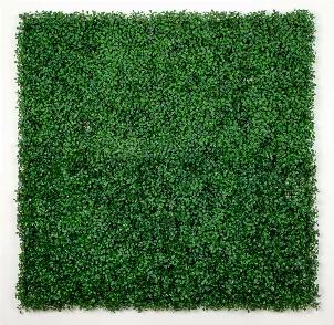 <p>Have you got a nosy neighbor? Our Boxwood Green Wall panel pack can instantly give you the privacy you deserve.</p>
<p>If you've ever wanted to enjoy your yard or home without the worry of someone looking over into your space, then now is the time to add some boxed green wall hedges.</p>
<p><strong>Details of the artificial hedge mat</strong></p>
<p>- Contains 12 pieces (20" x 20")<br></p>
<p>- Each panel easily connect to the next panel</p>
<p>- Each box (item) will cover 33sqft</p>
<p>- UV 