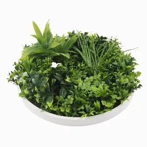 <p>The best thing about having this faux living wall disc is that you won't need to water, trim, or care for it like a real plant. It only requires very low maintenance and is amazingly easy to install - just like putting up a picture frame. It could be the very best piece of decor you'll ever own.</p>
<h3 class="heading h3">Easy Installation</h3>
<p>Your faux living wall disc comes ready to install with a sturdy white frame. It'll be just like putting up a family portrait or a painting on your 