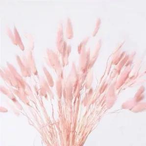 <p><span style="font-family: -apple-system, BlinkMacSystemFont, 'San Francisco', 'Segoe UI', Roboto, 'Helvetica Neue', sans-serif; font-size: 1.4em;">Dried bunny tails or lagurus grass are the perfect dried floral for home decor or making floral arrangements. Place bunny tails in a vase or separate your bunch and place just a few in a small bud vase for a minimalistic style.</span></p><div><span style="font-family: -apple-system, BlinkMacSystemFont, 'San Francisco', 'Segoe UI', Roboto, 'Helvetic