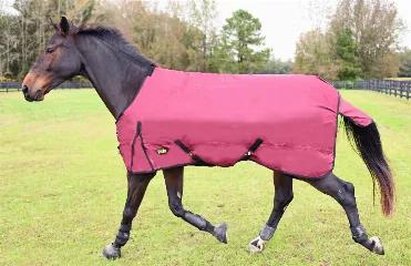 From the original Gatsby. Help your horse stay warm & dry this winter with our Gatsby 600D waterproof and breathable Turnout Blanket! Accept no substitutes. This turnout blanket is designed for maximum coverage and will give you years of use in all weather conditions. <br><br>Features:<br><ul></li><li>600 Denier Ripstop 100% Polyester outer shell. </li><li>Fully waterproof and breathable.</li><li>100% Polyester lining</li><li>Criss-cross Nylon Surcingles</li><li>Tail Flap and Adjustable nylon le