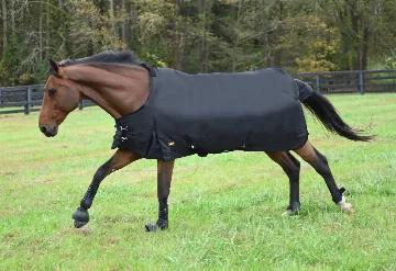 From the original Gatsby. Help your horse stay warm & dry this winter with our Gatsby 600D waterproof and breathable Turnout Blanket! Accept no substitutes. This turnout blanket is designed for maximum coverage and will give you years of use in all weather conditions. <br><br>Features:<br><ul></li><li>600 Denier Diamond Ripstop 100% Polyester outer shell. </li><li>Fully waterproof and breathable.</li><li>100% Polyester lining</li><li>Criss-cross Nylon Surcingles</li><li>Tail Flap and Adjustable 