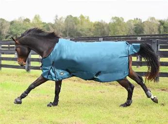 Shop our Premium Turnout Blankets & Sheets. <br><br>From the original Gatsby. Help your horse stay warm & dry this winter with our Gatsby 1680D waterproof and breathable Turnout Sheet! Accept no substitutes. This turnout sheet is designed for maximum coverage and will give you years of use in cool and wet weather conditions. <br><br>Features:<br><ul></li><li>1680 Denier Ripstop 100% Polyester outer shell. </li><li>Fully waterproof and breathable.</li><li>100% Polyester lining</li><li>Criss-cross