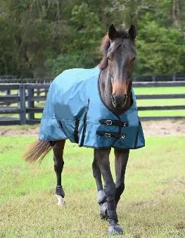 Shop our Premium Turnout Blankets & Sheets. <br><br>From the original Gatsby. Help your horse stay warm & dry this winter with our Gatsby 1680D waterproof and breathable Turnout Blanket! Accept no substitutes. This turnout blanket is designed for maximum coverage and will give you years of use in all weather conditions. <br><br>Features:<br><ul></li><li>1680 Denier Ripstop 100% Polyester outer shell. </li><li>Fully waterproof and breathable.</li><li>100% Polyester lining</li><li>Criss-cross Nylo