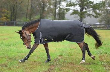 Shop our Premium Turnout Blankets & Sheets. <br><br>From the original Gatsby. Help your horse stay warm & dry this winter with our Gatsby 1680D waterproof and breathable Turnout Blanket! Accept no substitutes. This turnout blanket is designed for maximum coverage and will give you years of use in all weather conditions. <br><br>Features:<br><ul></li><li>1680 Denier Ripstop 100% Polyester outer shell. </li><li>Fully waterproof and breathable.</li><li>100% Polyester lining</li><li>Criss-cross Nylo