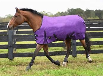 From the original Gatsby. Help your horse stay warm & dry this winter with our Gatsby 1200D waterproof and breathable Turnout Blanket! Accept no substitutes. This turnout blanket is designed for maximum coverage and will give you years of use in all weather conditions. <br><br>Features:<br><ul></li><li>1200 Denier Ripstop 100% Polyester outer shell. </li><li>Fully waterproof and breathable.</li><li>100% Polyester lining</li><li>Criss-cross Nylon Surcingles</li><li>Tail Flap and Adjustable nylon 
