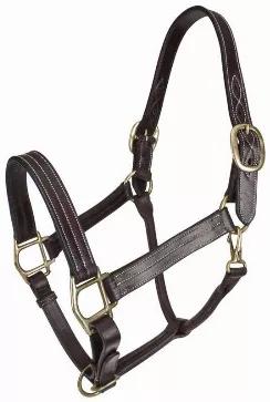 Made of a supple triple stitched leather, features double buckle crown, snap at throat, adjustable chin, solid brass hardware and rolled throat. Great for everyday use and is sure to give you the added style to your horse.