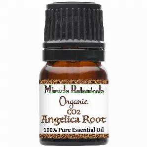 <span style="font-weight: 400; font-size: 16px;">Angelica Root Essential Oil is extracted with supercritical CO2 extraction from the aromatic root of the plant. Angelica is a small biennial plant that's widespread in the northern regions of Europe and Asia. </span><div><span style="font-weight: 400; font-size: 16px;"><br></span></div><div><span style="font-weight: 400; font-size: 16px;">It has a long history of medicinal applications and is also used for its pleasant aroma in flavoring foods and