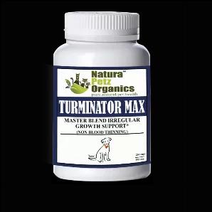 <p>TURMINATOR MAX* MASTER BLEND IRREGULAR GROWTH SUPPORT contains a synergistic blend of adaptogen herbs whose use predates the Incas, may be an important dietary tonic (tones and strengthens body systems) addition related to many illnesses, including irregular growths due, in part, to its phagocytosis actions which activate immune cells to attack bacteria and foreign cells related to tumors and inhibitory activity against the enzyme guanylate cyclase found in tumor cells, The plants contained i