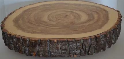 <p><b> Large Log Slice Slab with bark, hand crafted by us here in the Western Mountains of Maine with Balm of Gilead Logs. No Legs.</b></p><p>Kiln Dried Log Slice. Great for large Cutting Chopping Board, Charcuterie board, Serving Platter, Cake Stand<br data-mce-fragment="1"><br data-mce-fragment="1">Hand rubbed Food Safe Finish with Mineral Oil and Bees Wax.<br data-mce-fragment="1"><br data-mce-fragment="1">Options measure from 12" to 21" (See Drop down for size options) plus  (The Log Slices 