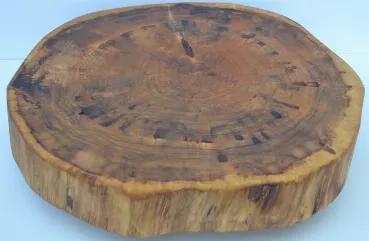 <b> Rustic Log Slice/Tree Round with Bark, Lazy Susan.Balm of Gilead Log Slice.</b><p>Handcrafted by us here in the Western Maine Mountains with kiln dried Balm of Gilead Tree slices. Both the Table and the base are Balm of Gilead Tree Slices/Log Rounds with Live natural Edges with NO Bark.</p><p>Smooth even Turning with Ball Bearing action!</p><p><strong>Log Slice is 1" to 1 1/2" Thick</strong></p><p>Don't ever purchase any kind of Tree Slice/Log Round product that hasn't been kiln dried, as if