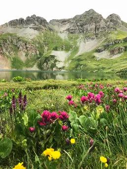 <h2>Colorado Life</h2><p>Lush wildflowers surround Clear Lake just outside Silverton, Colorado, in the San Juan Mountains. </p><p><em><strong>Photography by Twisted Tree Designs</strong></em>:  Capturing the beauty of life in simple moments.  Whether out running a quick errand, on a family vacation, off-roading in the mountains, or simply enjoying life in the yard, beauty can be found everywhere.  Take a moment to enjoy it.<br> <br>Wood puzzles are made of quarter inch thick quality hardwood.<br