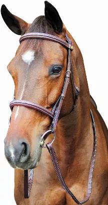 Henri de Rivel Pro Mono Crown Titanium Bridle<br>The Henri de Rivel Pro Mono Crown Titanium Bridle features great comfort and style. Stand out with titanium mesh details on the padded brow and nosebands. Made with quality, imported leather and stainless steel hardware. Laced reins included.