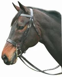 Henri de Rivel Advantage Hunt Bridle<br>For our foxhunters, the Henri de Rivel Advantage Hunt Bridle is traditional, durable, and affordable. Crafted with quality, imported leather and stainless steel hardware, this conservative bridle comes in tone on tone stitching on flat leather for a simple style. Sold complete with 5/8" laced reins. Dimensions: 1/2 " cheek pieces and 1" nose and brow bands. *Bit shown in image not included*